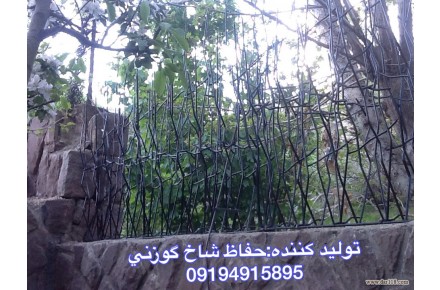 حفاظ شاخ گوزني - 1