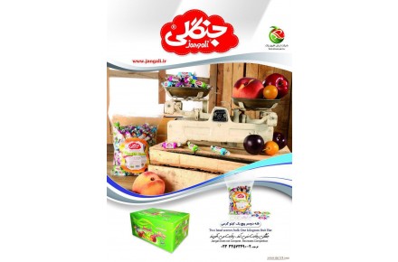 شرکت ترش افروز پاک (جنگلی) - 2