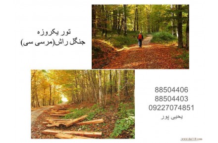 تورهای طبیعت گردی یک روزه - 2