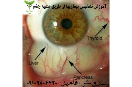 آموزش طب سنتی - 2