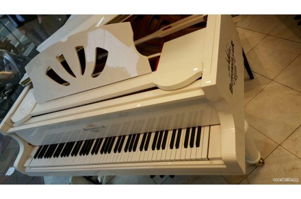 فروش  پیانو آکوستیک گرند برگمولر(burgmuller GP170) - 2