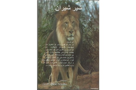 نماینده فروش کتابهای شعر ترکی (شیر شیران )و (نامرد الینده اسیر ) - 2