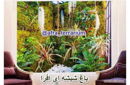 طراحان زیست محیطی افرا؛  مجری انواع تراریوم، باغ شیشه ای، پالوداریوم، ویواریوم، دیوار سبز و ... - 1