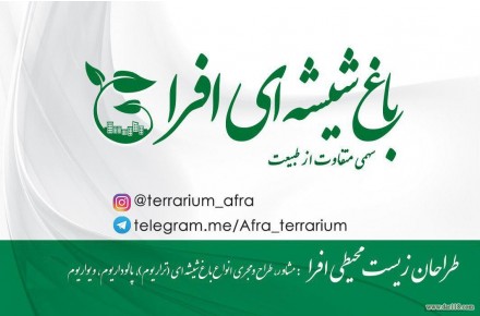طراحان زیست محیطی افرا؛  مجری انواع تراریوم، باغ شیشه ای، پالوداریوم، ویواریوم، دیوار سبز و ... - 2