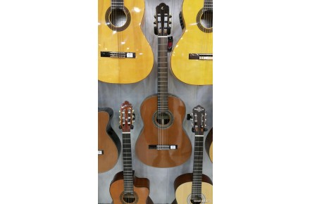 فروش گیتار Cordobez CG 25 LM - 2