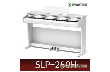 پیانو دایناتون slp 250 (نقد و اقساط) - 2