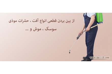 سمپاشی موش - 1