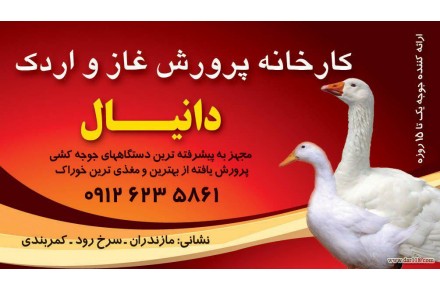کارخانه پرورش غاز و اردک دانیال - 1
