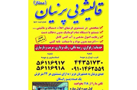 کارخانه قالیشویی پرنیان(نادری) - 1