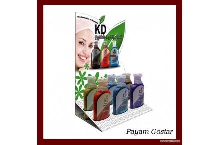 استندسازی پیام گستر - 2