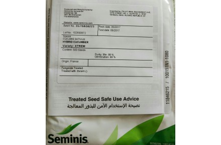فروش انواع بذر خیار گلخانه ای - 4