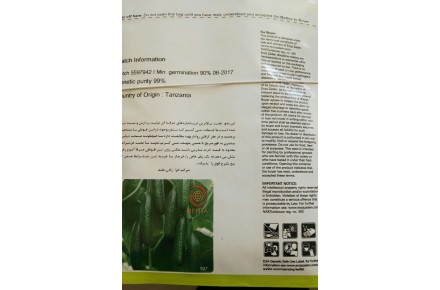 بذر خیار گلخانه ای ناگین - 2
