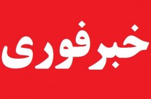 بازاریابی و ویزیتور