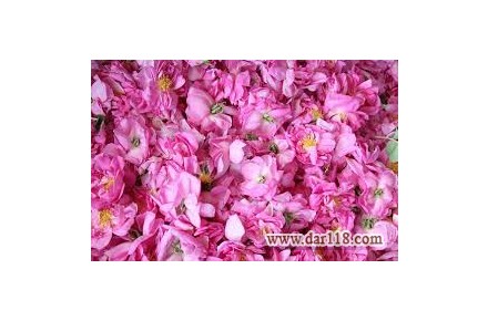 تور گلاب گیری کاشان - 3