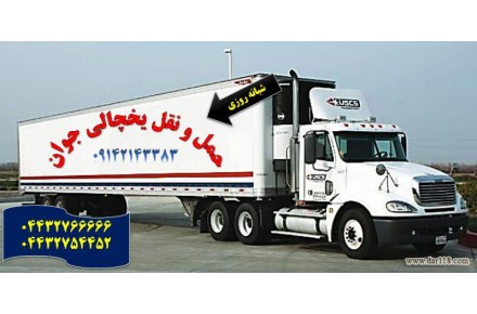 خدمات صادرات محصولات ایران به قطر و... - 3