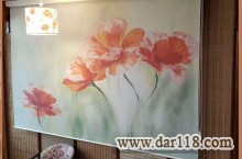 پرده پردیس