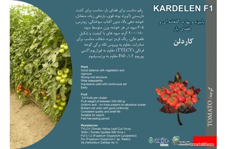 بذر گوجه کاردلن kardelen  - 1