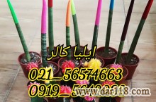 مواد مصرفی دستگاه مخمل پاش02156574663ایلیاکالر