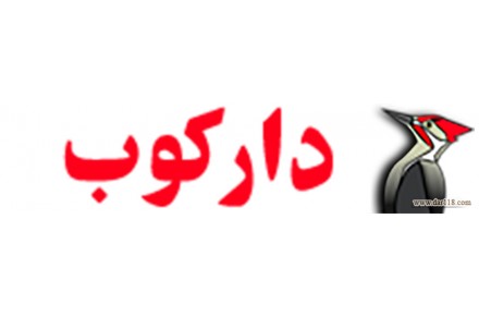 شرکت طراحی وب سایت دارکوب