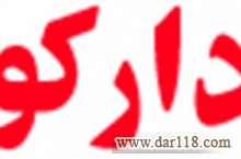 شرکت طراحی وب سایت دارکوب