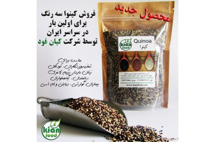بهترین محصولات لاغری تغذیه سالم - 2