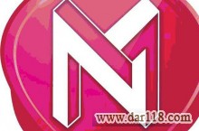 گروه نرم افزاری میلیونر