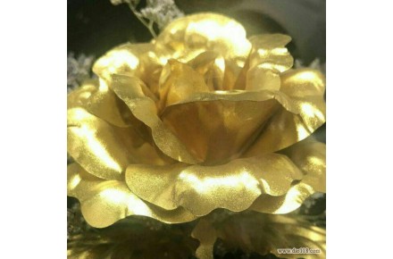 فقط200هزار تومان - 1
