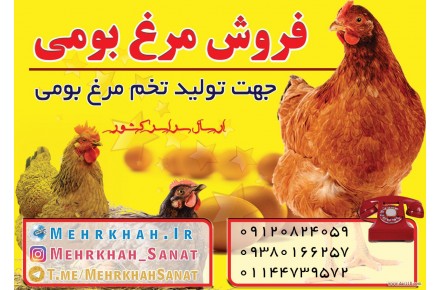 شرکت تعاونی مهر خواه صنعت - 1