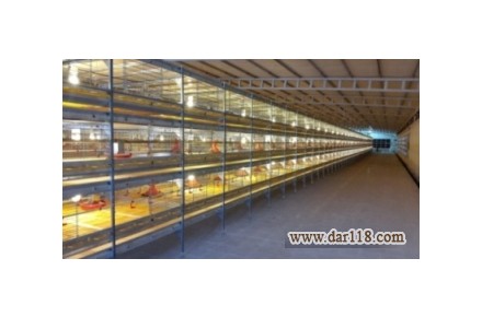 قفس های تمام اتوماتیک  پرورش مرغ گوشتی  وتخم گذار - 3