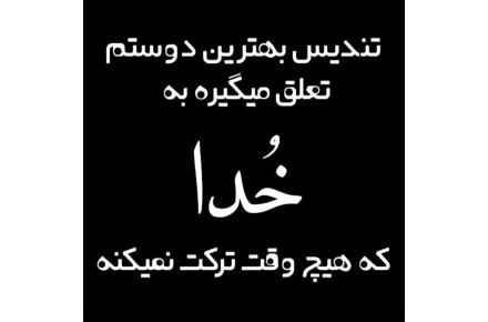 پخش روغن زیتون به قیمت عمده - 2