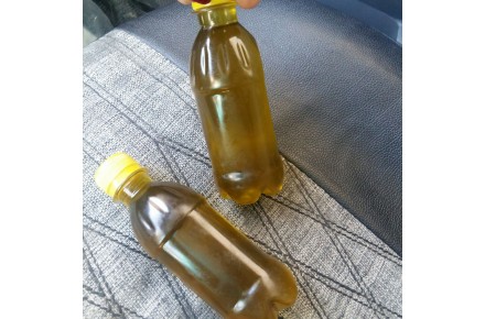 پخش روغن زیتون به قیمت عمده - 4