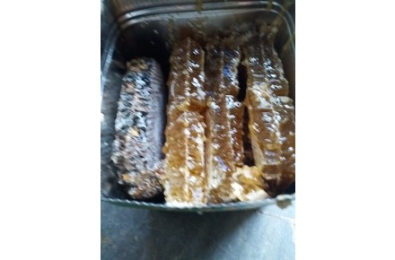 عسل طبیعی عمده وتناژ - 1