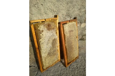 عسل طبیعی عمده وتناژ - 3