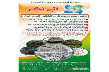 برگزاری دوره های آموزشی کاربردی  - 2