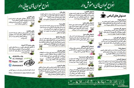 گروه تولیدی روپات - 2