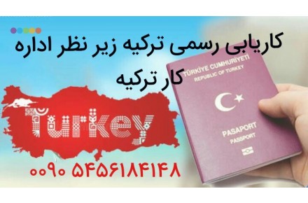 شرکت کاریابی ترکیه ای دیلا