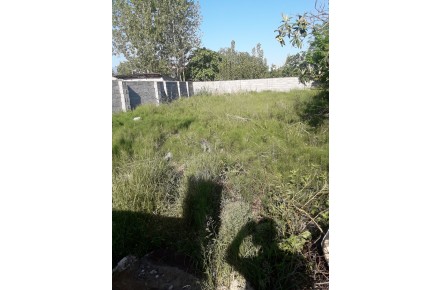 زمین ۲۴۰ متری ۳۸۰۰۰۰ درکاپی چمستان - 1