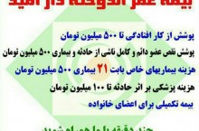 خانم های حانه دار