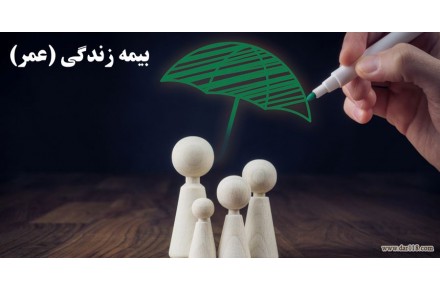 کارگزاری رسمی بیمه نکویی - 3