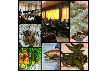 دوره آموزشی کشت آکواپونیک - 1