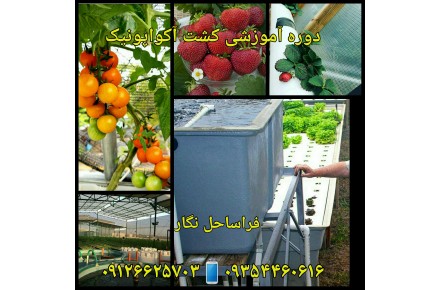 دوره آموزشی کشت آکواپونیک - 2