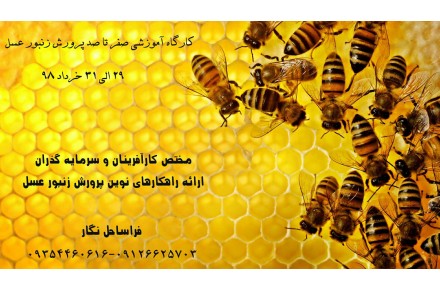 کارگاه آموزشی پرورش زنبور عسل