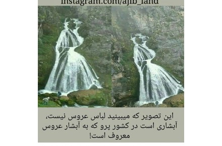 عکاس در محضر ازدواج - 1