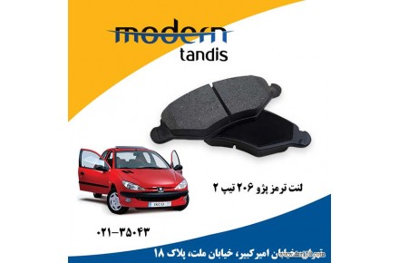 مدرن تندیس لنت تر مز جلو پژو206 تیپ 2و3  - 1