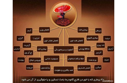 قارچ و قهوه گانودرما 