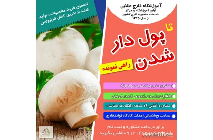 آموزشگاه پرورش قارچ طلوع طلایی