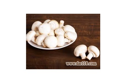 آموزشگاه پرورش قارچ طلوع طلایی - 2