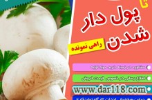 آموزشگاه پرورش قارچ طلوع طلایی