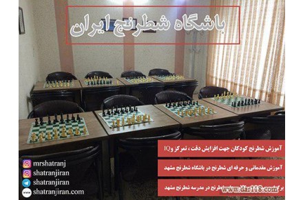 اوقات فراغت کودکان در تابستان با کلاس های شطرنج  - 3