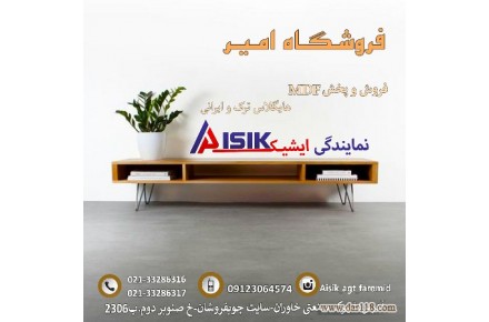 نمایندگی ایشیک